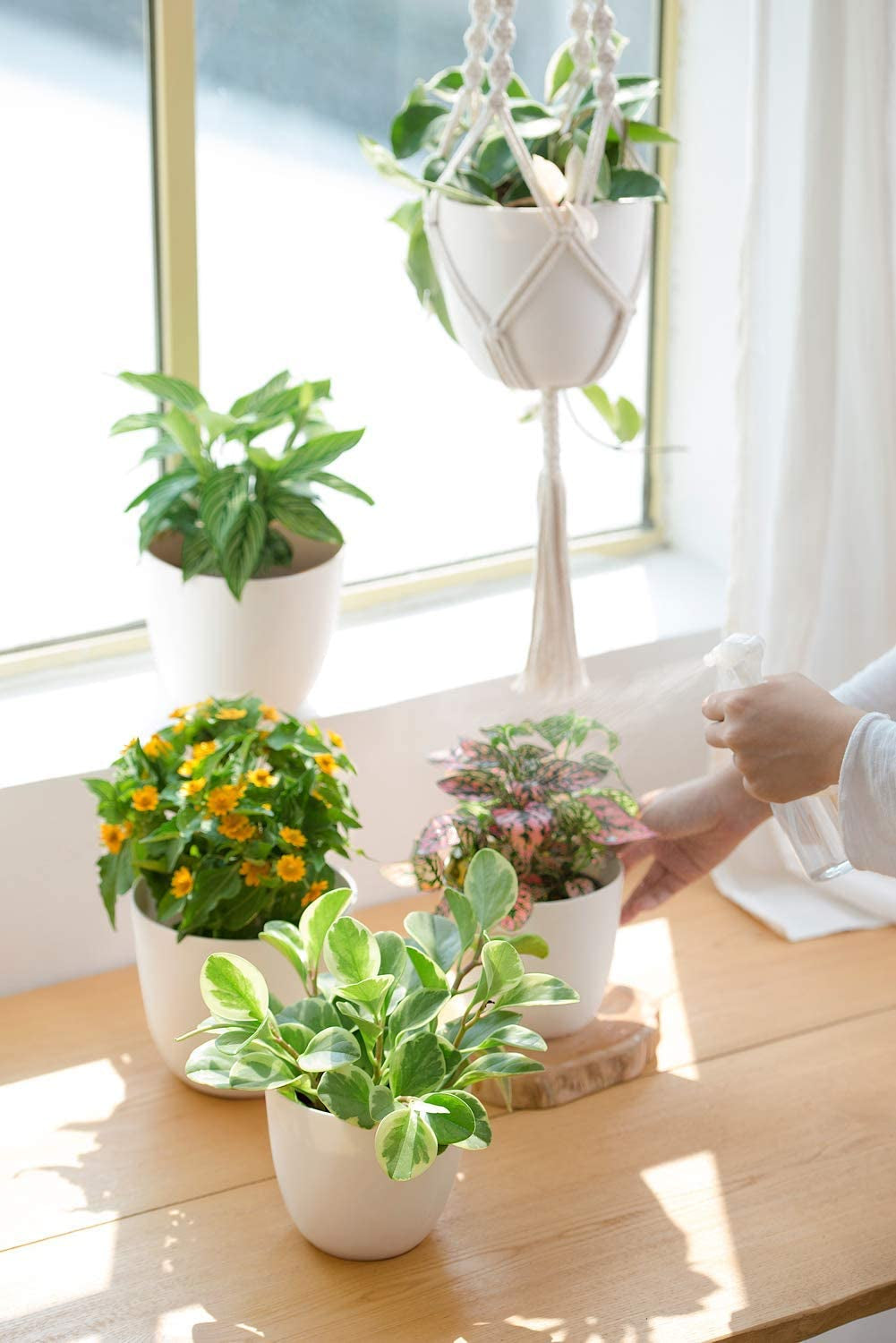 Set of 3 Macrame Plant Hangers with Pots - 35"/29"/23" Indoor Hanging Planter Baskets with Saucers and Hooks, Medium Size, Ivory (Plastic Pots Included)